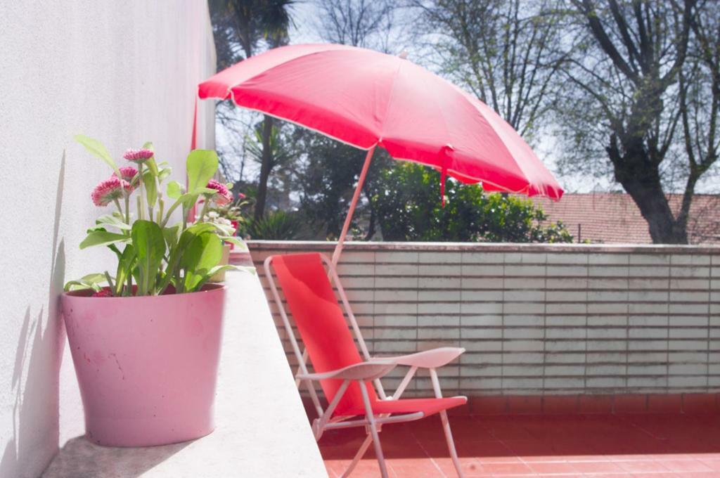 Terrace Porto Downtown Apartamento Exterior foto